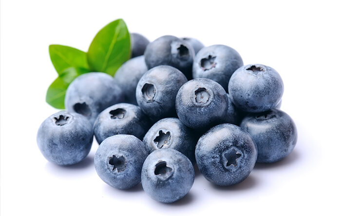 Blueberry Buah Kecil Yang Di Kenal Karena Rasa Manisnya