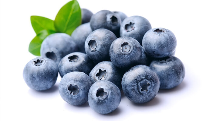 Blueberry Buah Kecil Yang Di Kenal Karena Rasa Manisnya