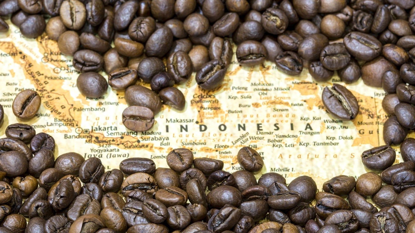Kopi Lokal, Selera Global: Bangkitnya Specialty Coffee Nusantara