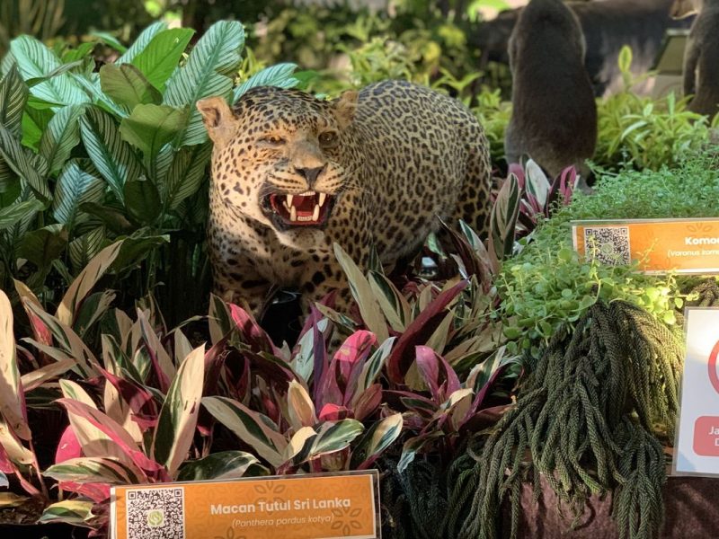 Ragunan Buka Malam: Hewan Apa Yang Paling Ngehits?