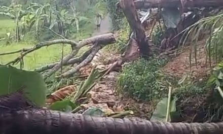 Pamekasan Terkena Longsor, 40 KK Terisolir & Sulit Logistik