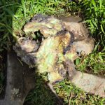 Update ATR 500: Kajian Pers Inter Tentang Hilangnya Pesawat