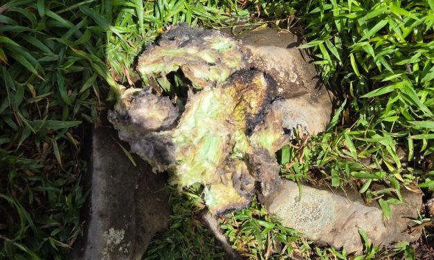 Update ATR 500: Kajian Pers Inter Tentang Hilangnya Pesawat