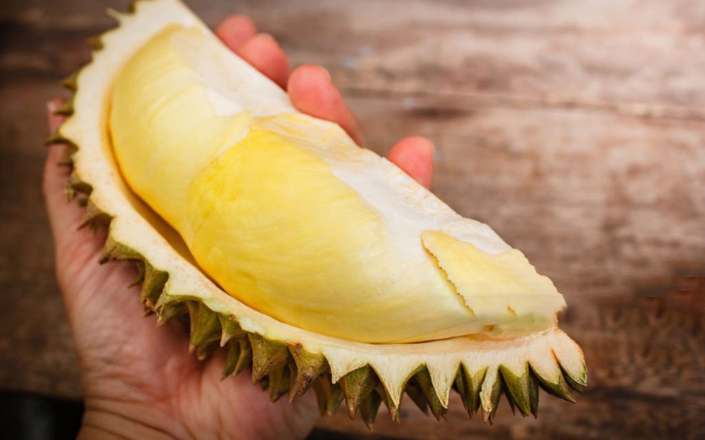 Varietas Durian Indonesia Yang Paling Unik Dengan Keragaman