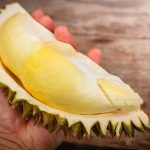 Varietas Durian Indonesia Yang Paling Unik Dengan Keragaman