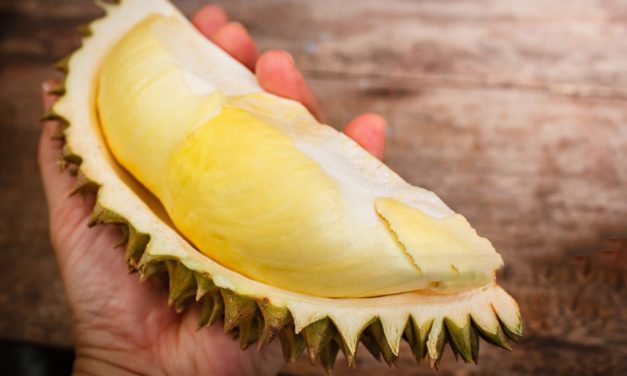 Varietas Durian Indonesia Yang Paling Unik Dengan Keragaman