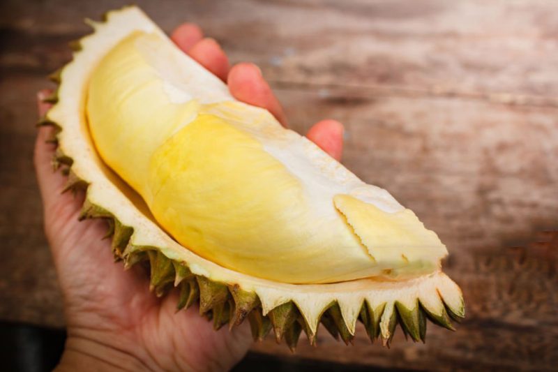 Varietas Durian