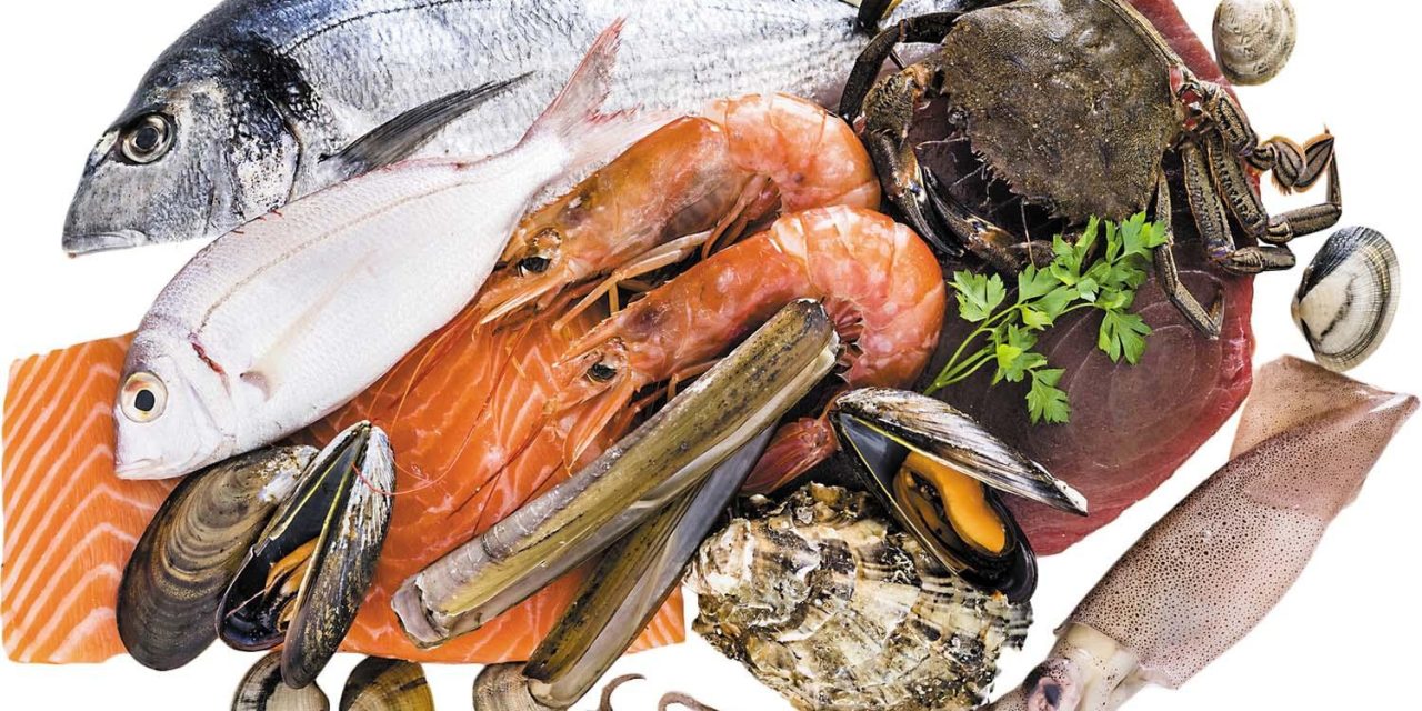 5 Kelezatan Makanan Laut Yang Kaya Nutrisi