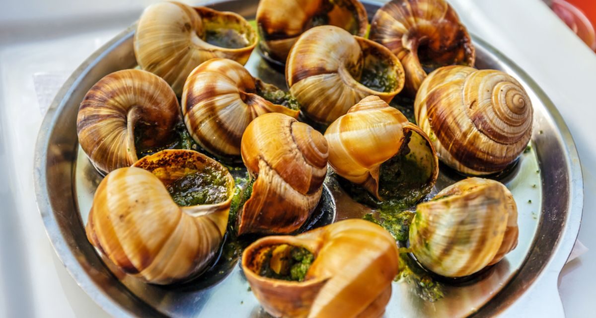 Makanan Mewah Prancis Keong Mas Atau Escargot, Ini Sejarahnya