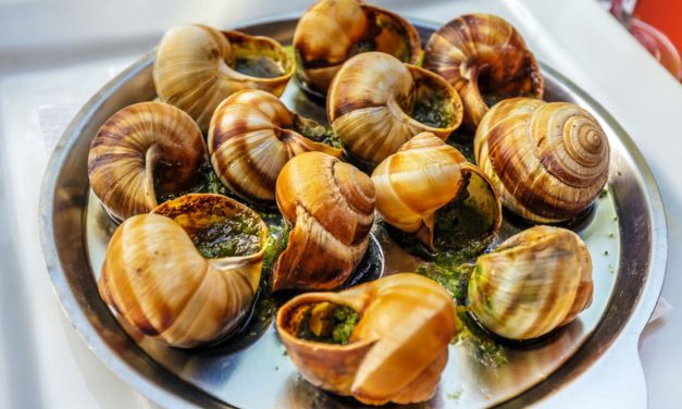 Makanan Mewah Prancis Keong Mas Atau Escargot, Ini Sejarahnya