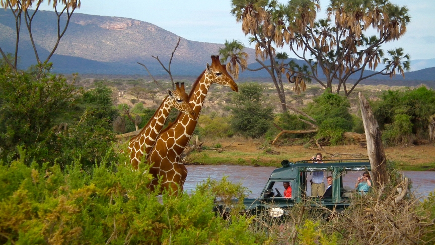 Kenya, Salah Satu Tempat Terbaik Untuk Bersafari