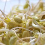 Tauge Sebagai Sumber Protein Nabati, Ini Penjelasannya
