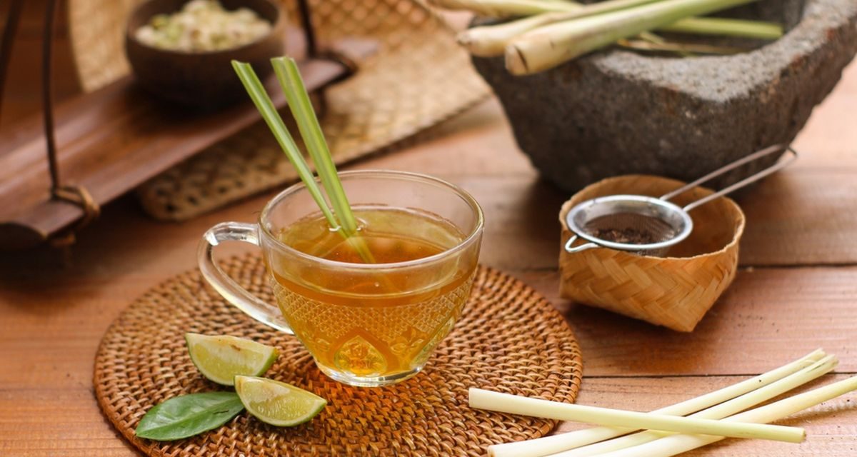 Trik Membuat Minuman Dari Serai Untuk Menurunkan Kolestrol